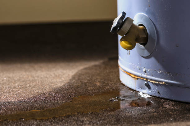 Best Ceiling water damage repair  in Perryville, AR