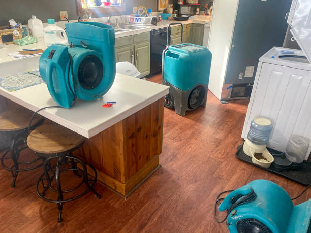 Best Local water damage restoration  in Perryville, AR