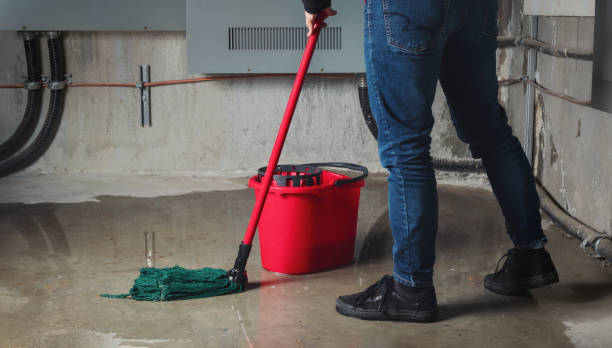 Best Sewage cleanup and water damage restoration  in Perryville, AR