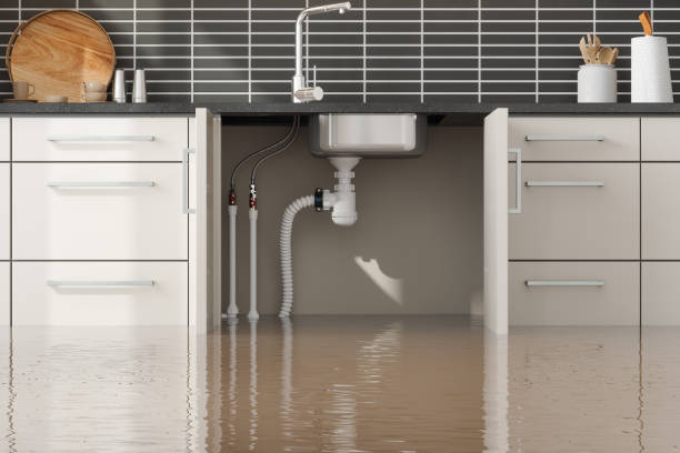 Best Basement water damage restoration  in Perryville, AR