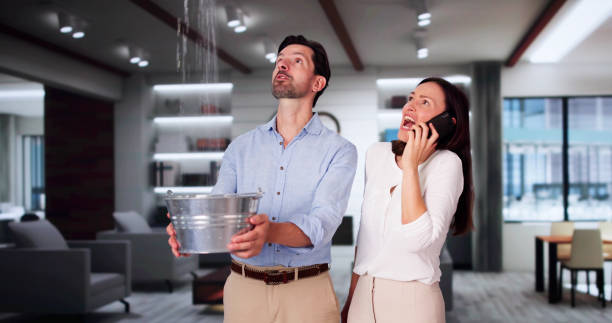 Best Carpet water damage restoration  in Perryville, AR
