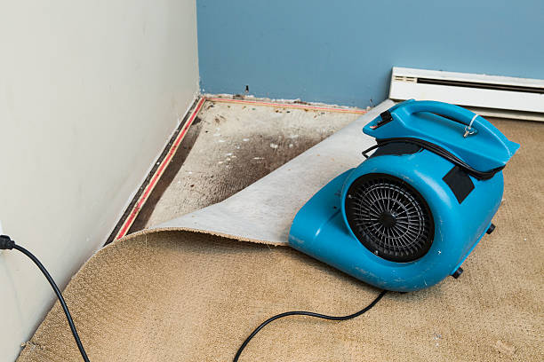 Best Water damage restoration process  in Perryville, AR